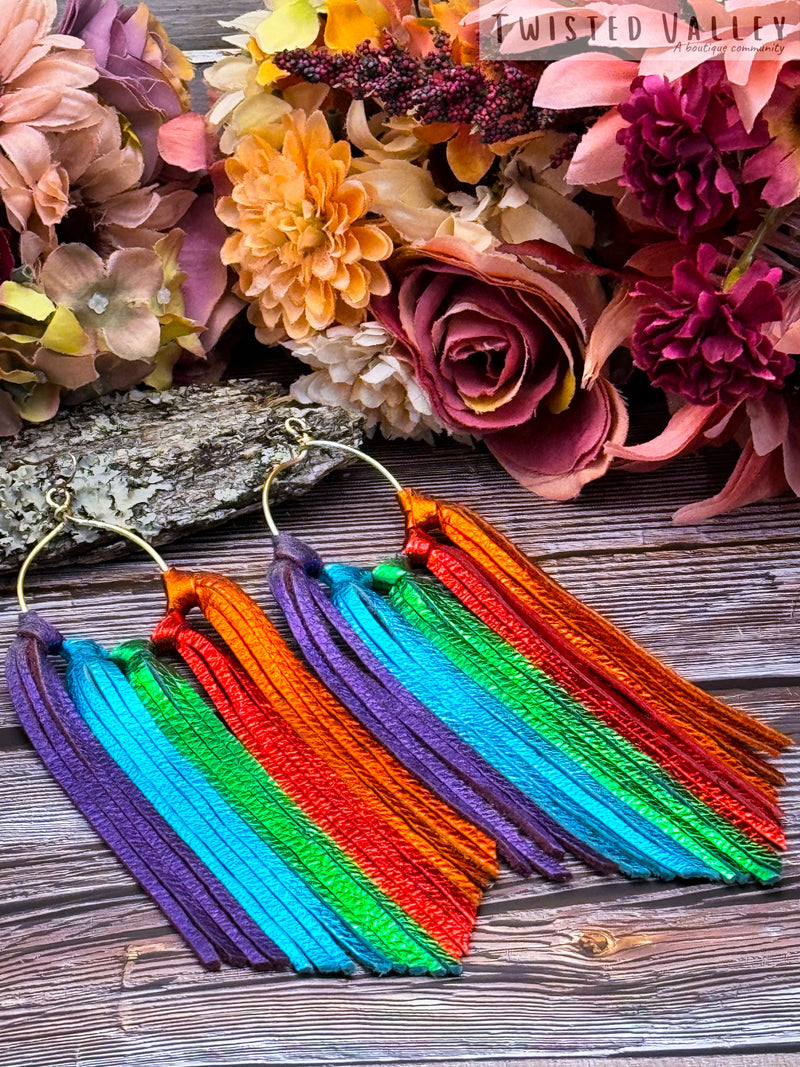 Rainbow earrings